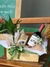 Kit com Bamboo da sorte