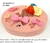 Molde de Silicone - Kit com 05 Acessórios | Boné, Unicórnio, Laço e Chupetas - comprar online