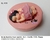 Molde de Silicone - Kit com 03 Bebês Bumbum com Roupas 4cm - Biscuit da Lu