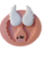 Molde de Silicone - Asa de Anjo Pequena 3x2cm