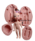 Molde de Silicone - Kit Boneca Doll 15 Bipartida 15cm
