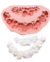Molde de Silicone - Kit com 02 Arabescos com 02 Rosas (BL2340)