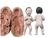 Molde de Silicone - Bebê Bipartido Corpo Inteiro Bocejo 8cm