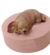 Molde de Silicone - Cachorro Pequeno Deitado 5,5cm