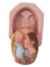Molde de Silicone - Mamãe e Bebê 7x9,5cm