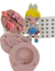 Molde de Silicone - Kit Boneca Kell 10cm + Olhos Resinados 380A-P + Laços