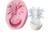 Molde de Silicone - Pomba com Esplendor e Pia Batismal