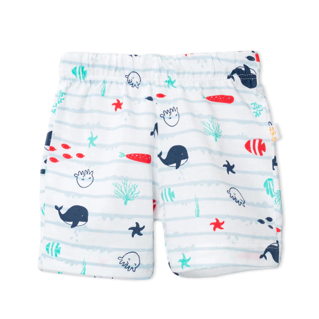 Short Bebé Algodón Marino Marca Naranjo T 9 A 24 Meses