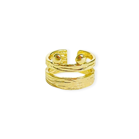 Anillo Bolonia