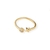 Anillo Menia