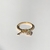 Anillo Aragón