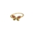 Anillo Campo