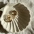 DESPOJADOR OSTRA BEIGE