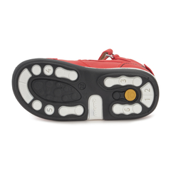 Ladybird 3HA - tienda online