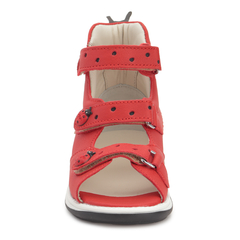 Ladybird 3HA
