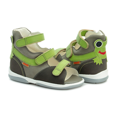 Frog 1ED