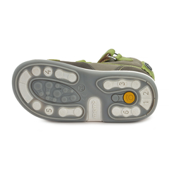 Frog 1ED - tienda online