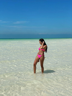 Bikini triángulo en internet