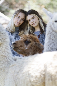 Banner de la categoría Llama