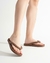 Chinelo Feminino Adulto Brizza 2 Tranças EVA Nuvem - Marrom - comprar online