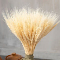 Trigo desidratado - comprar online