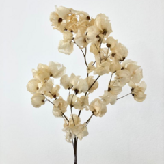 Bougainville natural - comprar online