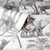 papel tapiz safari