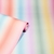 papel tapiz gay friendly