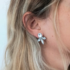 Aros Fiona