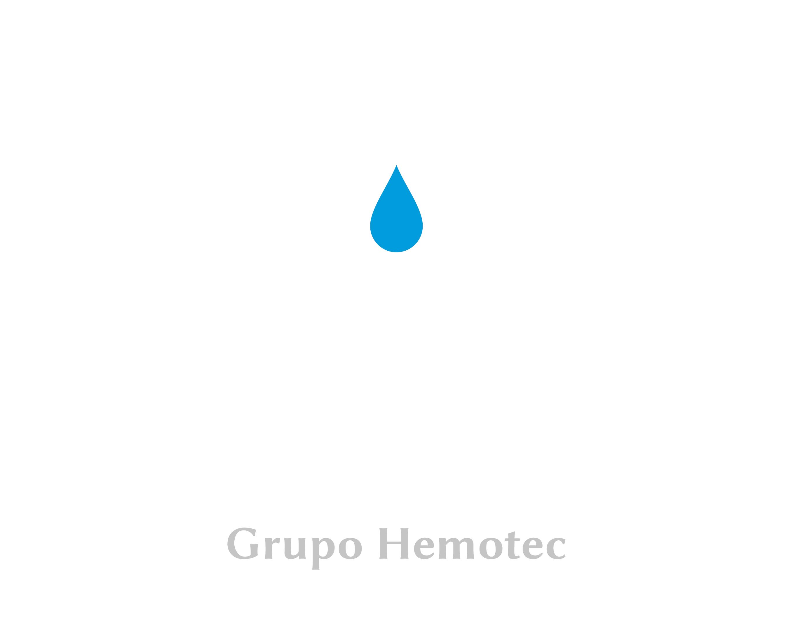 Brag Filtros