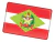 Emblema Adesivo Bandeira Santa Catarina Resinado Bd41 Fgc