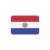 Adesivo Resinado Bandeira do Paraguai 4x6cm Compatível SPTS na internet
