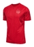 Dinamarca Camiseta Titular 22 23 Versión Hincha en internet