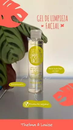 Gel de Limpieza Facial ANTIOXIDANTE/ Thelma&Louise - comprar online