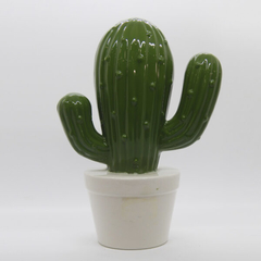 Cactus de porcelana