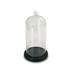 Campana de vidrio base de madera