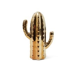 Cactus gold dorado