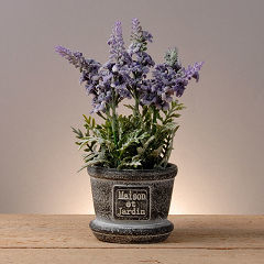 Maceta de cemento lavanda