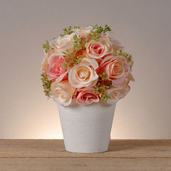 Maceta con rosas rosas