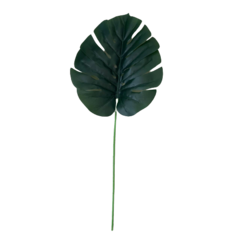 Hoja Costilla de Adan