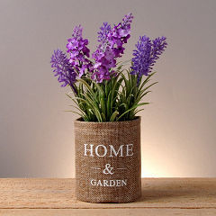Lavanda con maceta de alpillera