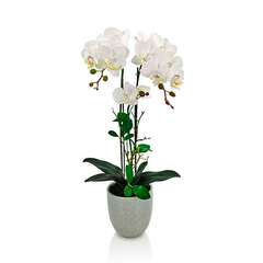 Orquidea 52 cm. tres varas