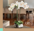 Banner de Eme Home&Design