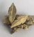 Brinco Pena Ouro - comprar online