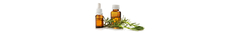 Banner de la categoría COSMETOLOGÍA
