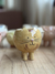 Maceta Gatito