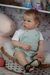 Imagem do Bebê Reborn kit Liam (Toddler)