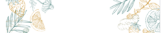Banner de la categoría Detox