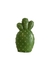 vela cactus/suculenta