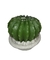 Vela Cactus Maceta